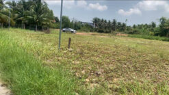 GNH01 - 2 LÔ ĐẤT FULL THỔ CƯ – CỰC HIẾM – ĐƯỜNG QH 8M – NINH QUANG, NINH HÒA