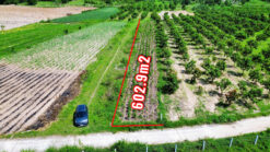 GCL01- HƠN 600M2 - QH ĐẤT Ở GIỮ LẠI (ĐÔ THỊ CAM LÂM) - CHỈ 350 TRIỆU