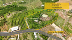 GDK17 🌿 BÁN FARM SINH THÁI 16.240m² – DIÊN THỌ, DIÊN KHÁNH, KHÁNH HÒA