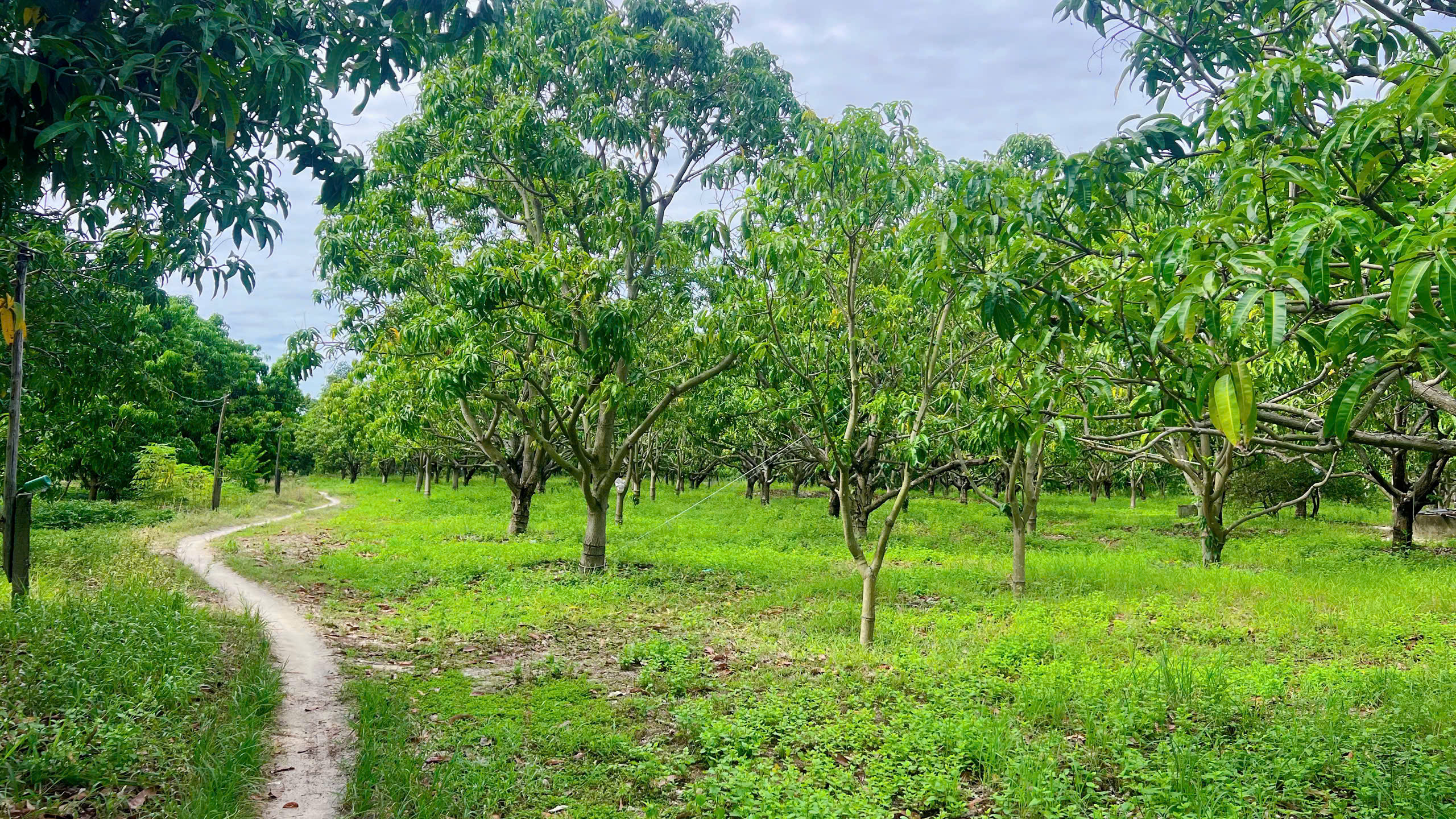 Z6932608611669 B71058cc13080c8d6d02a7e41d99b976