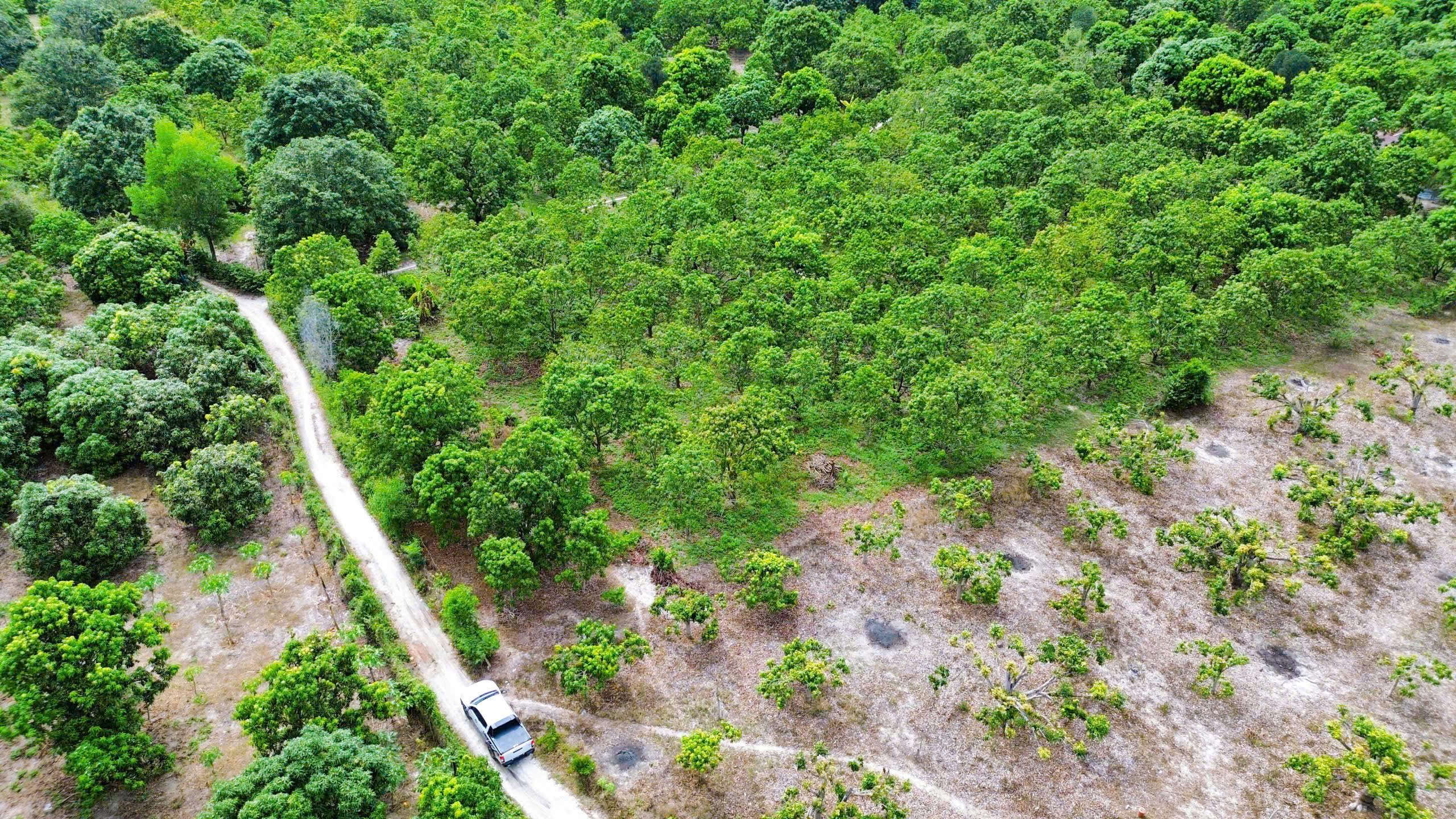 Z6932608613598 B9304d1699c2661872a1d40468381e5a