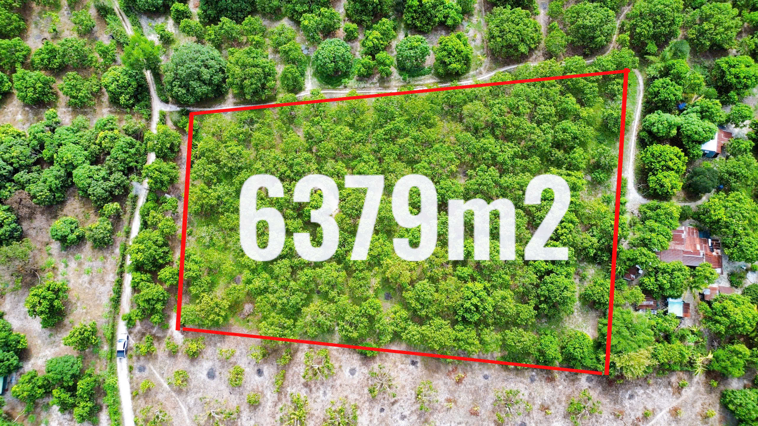 Z6932608629224 E1c40e7ac1cadea97836606e1e835b68