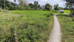 GNH16 🌟 SIÊU HOT – ĐẤT GIÁ RẺ TRUNG TÂM NINH HÒA 🌟