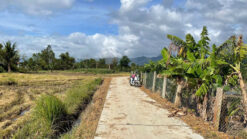 GNH17 🔥 BÁN SỈ 5 LÔ ĐẤT – GIÁ SIÊU RẺ TẠI NINH HÒA 🔥